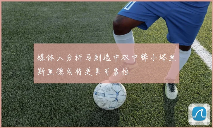媒体人分析马刺选中双中锋小塔里斯里德或将更具可靠性