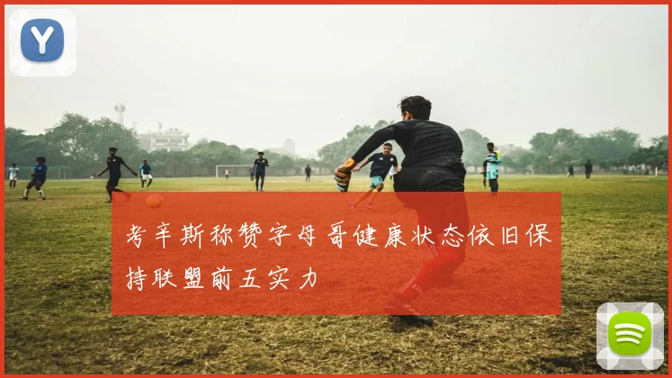 考辛斯称赞字母哥健康状态依旧保持联盟前五实力