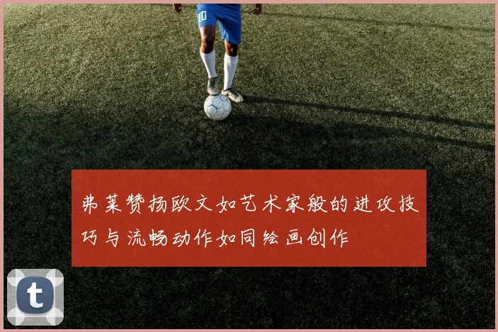 弗莱赞扬欧文如艺术家般的进攻技巧与流畅动作如同绘画创作